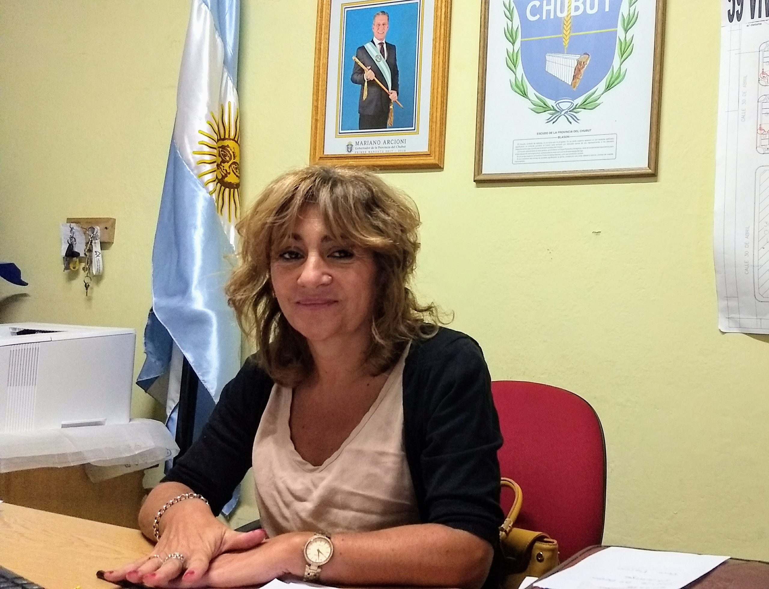 El Gobierno de la Provincia entregará mañana viviendas en Aldea Epulef