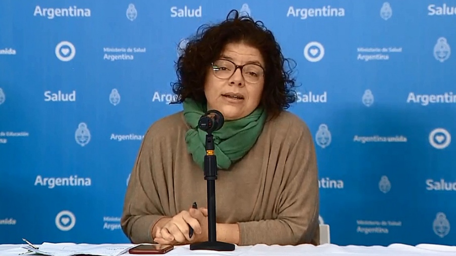 Vizzotti: «Nuestro sistema de salud responde y no está saturado»