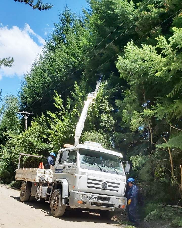 El Gobierno de la Provincia realiza la poda de árboles en las líneas eléctricas de la Comarca Andina