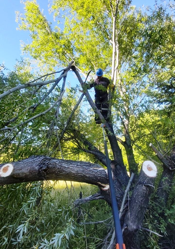 WhatsApp Image 2022-01-19 at 10.52.03 AM (1)