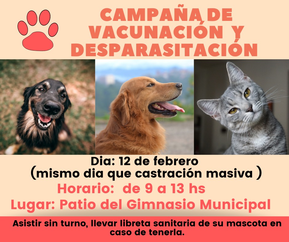 Castración, vacunación y desparasitación en Gaiman