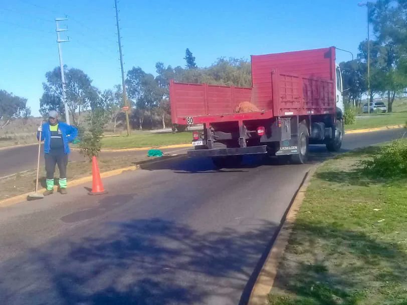 Cuadrillas municipales del área de ambiente trabajan en la limpieza de espacios verdes y en las afueras de edificios públicos