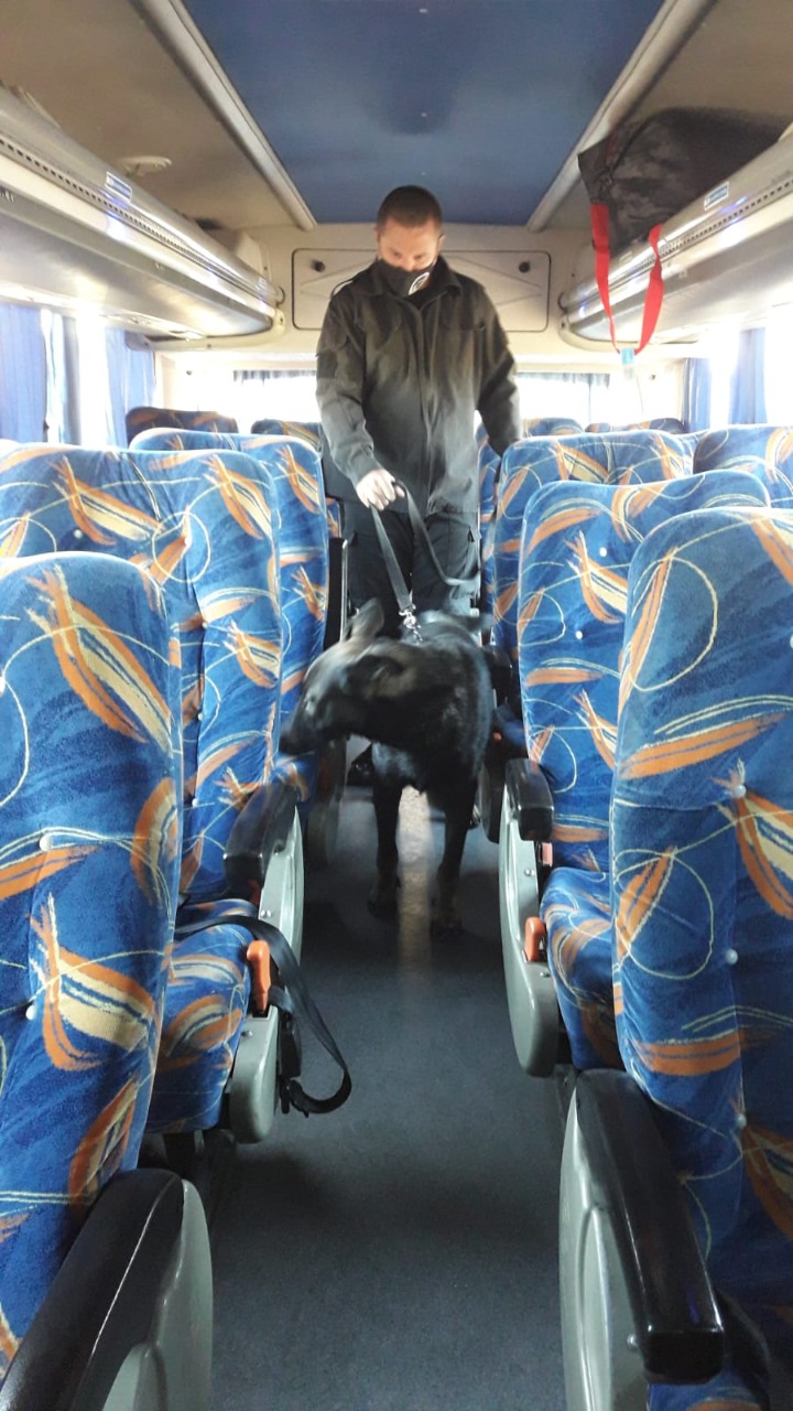 IMG-20220313-WA0058