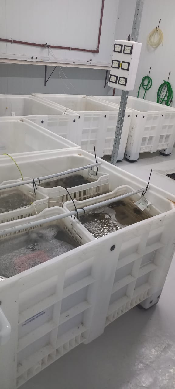 WhatsApp Image 2022-03-05 at 9.25.24 AM (1)