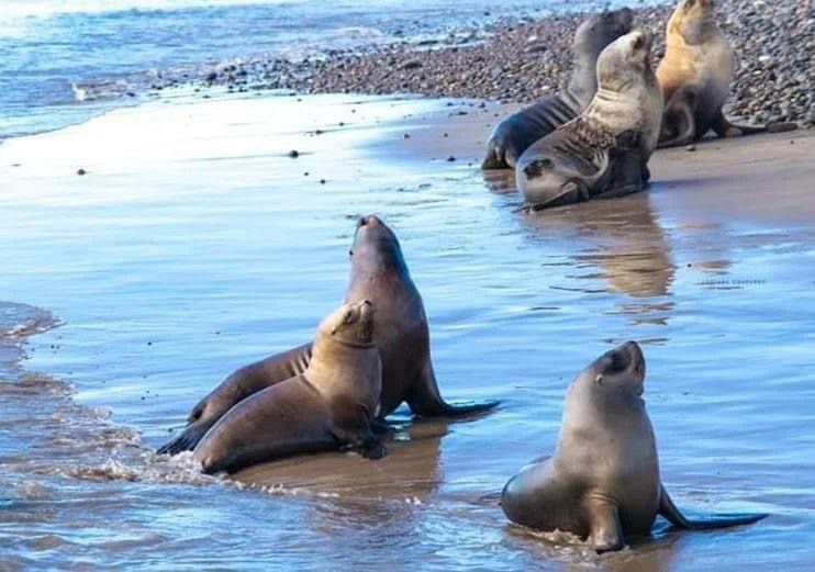 El EMRATUR invita a disfrutar Semana Santa en Playa Unión