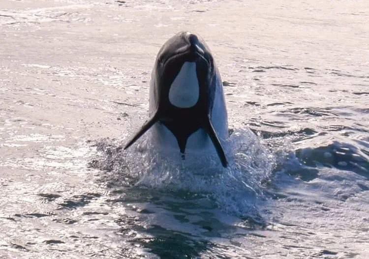 Actividades en Semana Santa en Playa Unión (3)