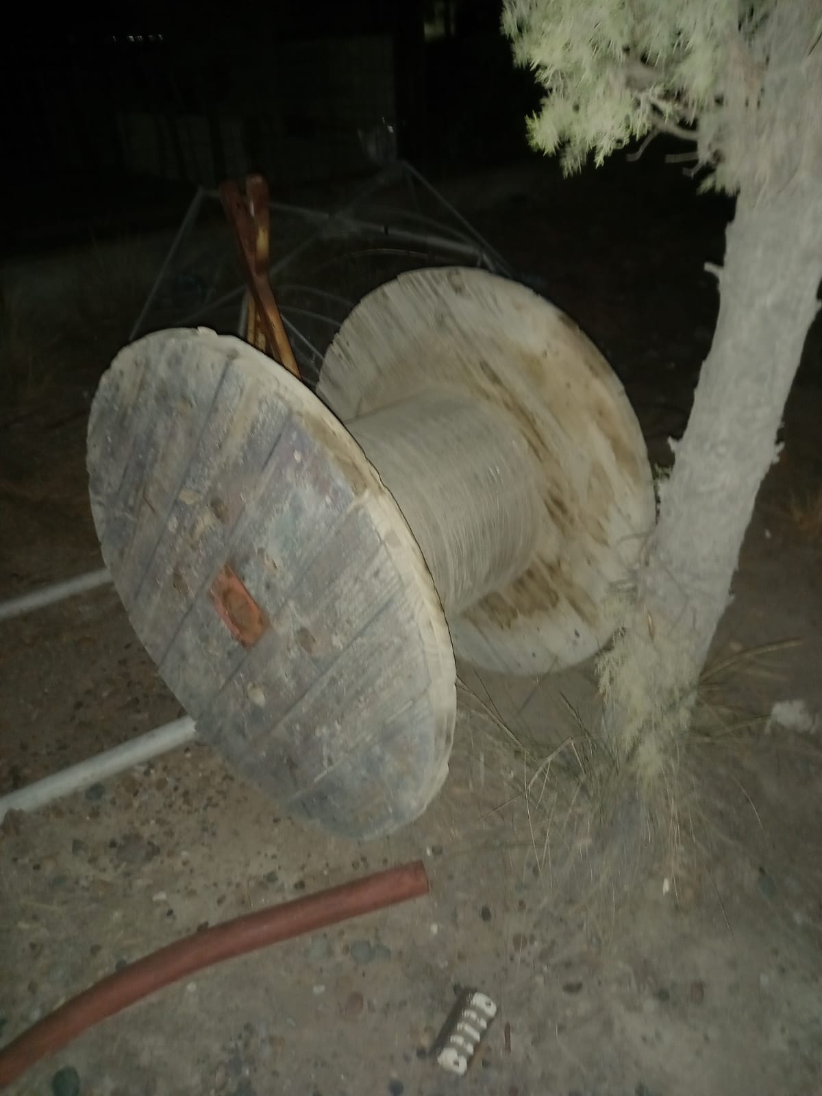 WhatsApp Image 2022-04-18 at 10.08.29 AM (1)