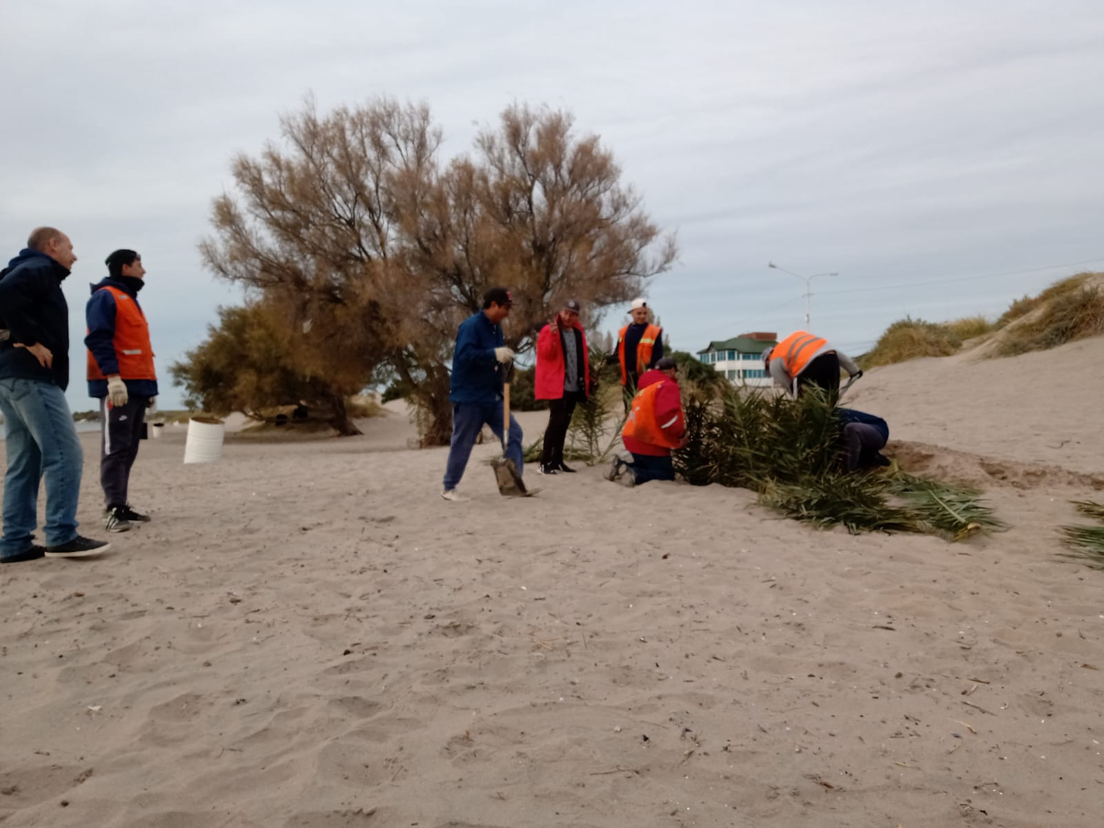 13280cc5-4457-4e8e-8694-7563c09efe5f