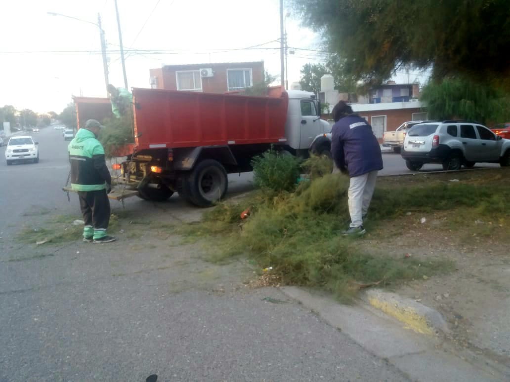 Rawson: la Secretaría de Ambiente realiza trabajos de Poda a requerimiento de instituciones de la ciudad