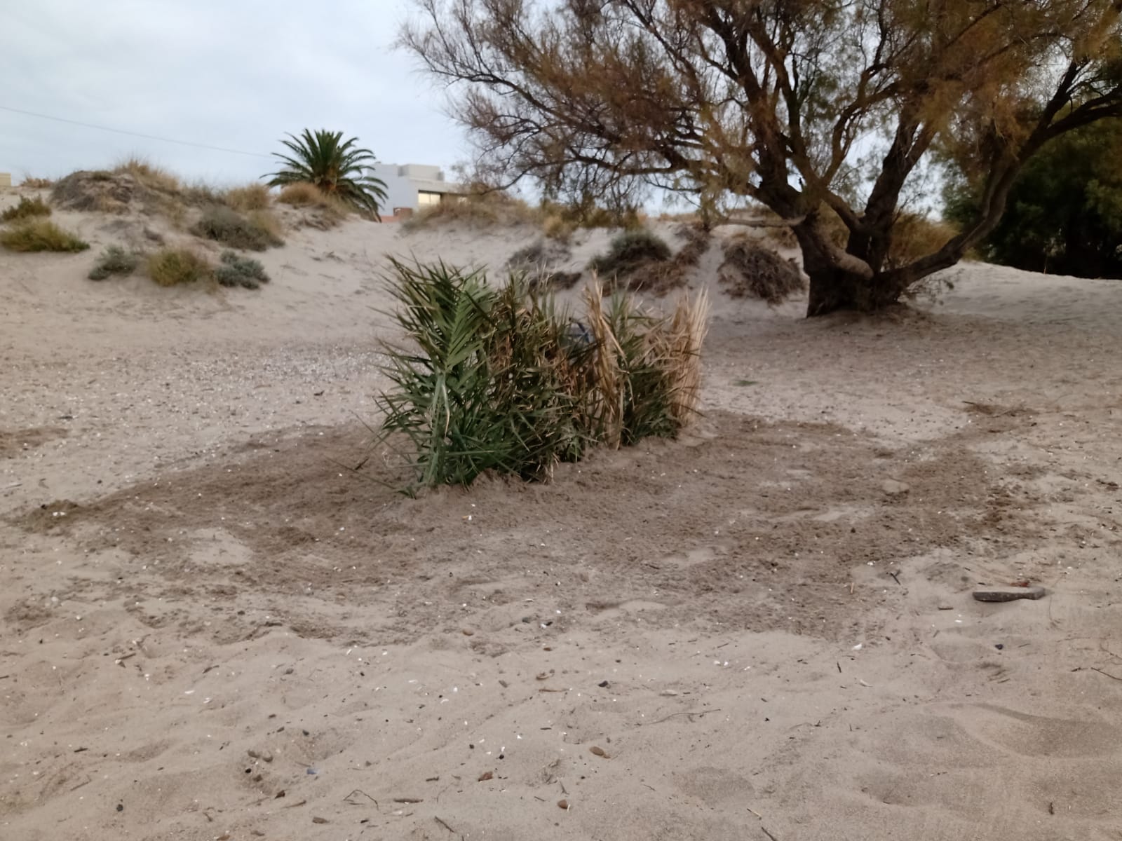 fb1c094c-5ca0-4f7e-9f01-5be99b87f21a