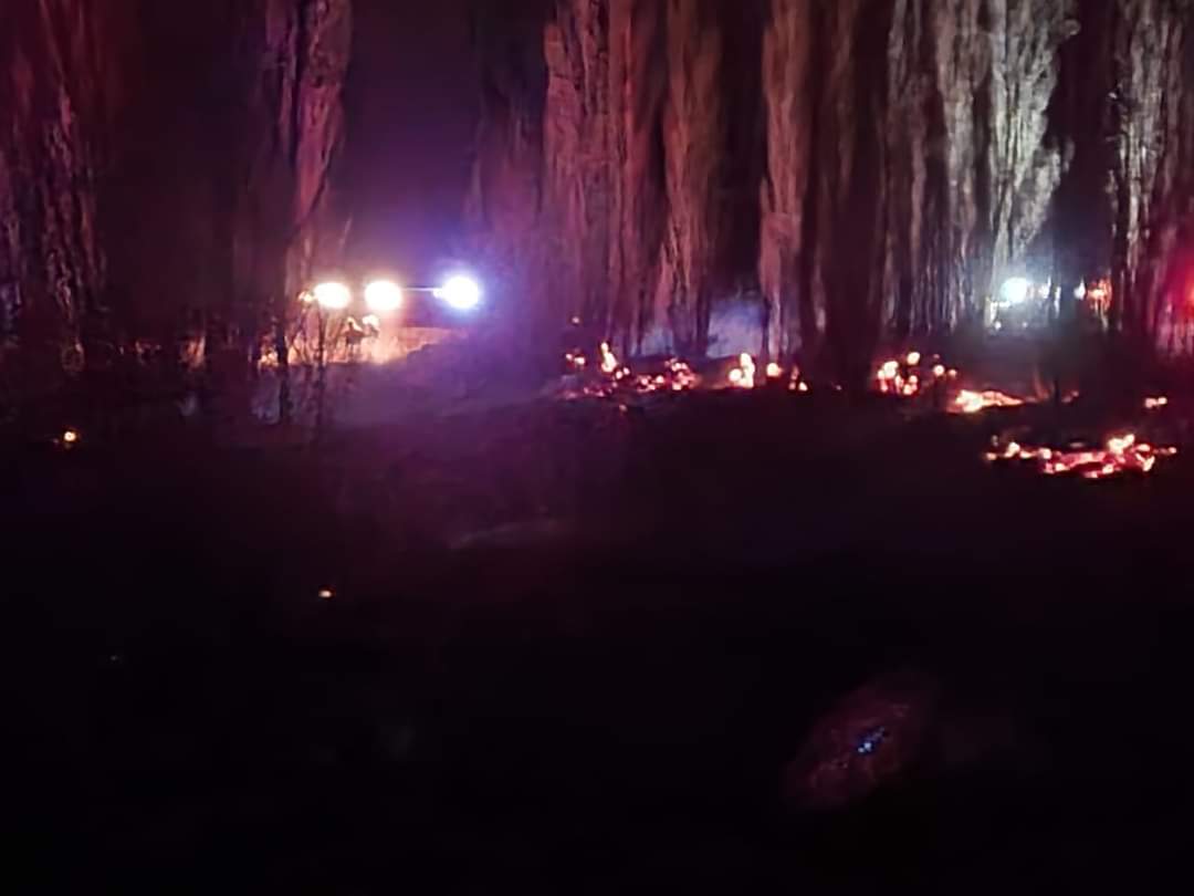 FB_IMG_1657072965228