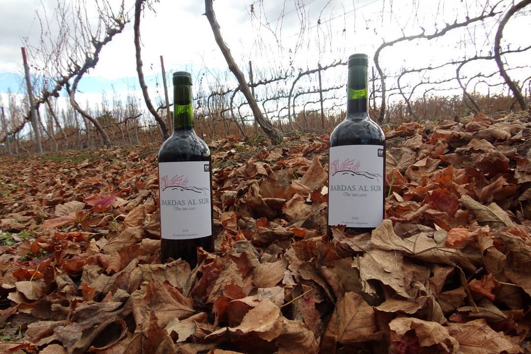 El Pinot Noir de Bardas al Sur fue premiado en Mendoza