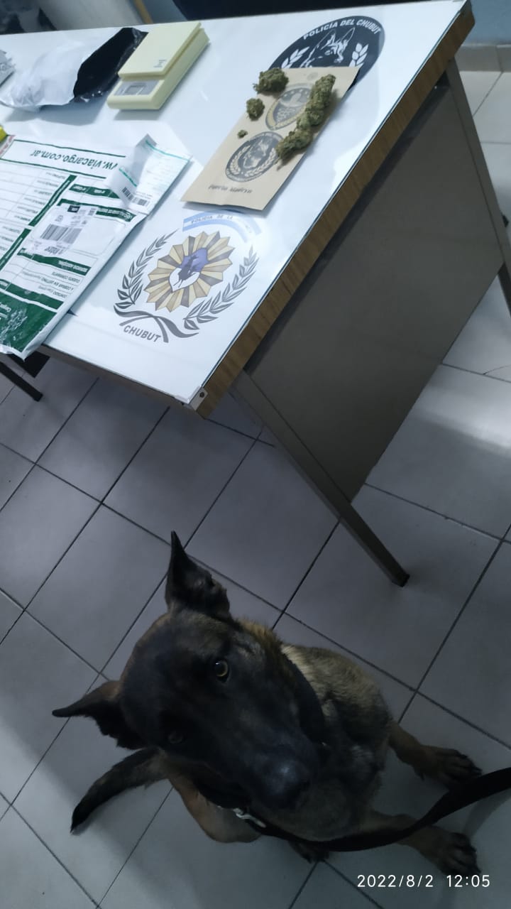 WhatsApp Image 2022-08-02 at 2.57.18 PM