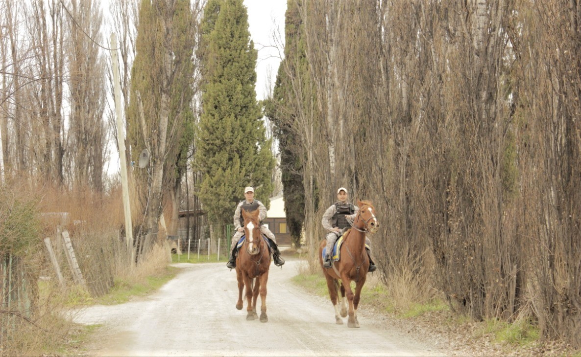 WhatsApp Image 2022-08-29 at 9.53.05 AM