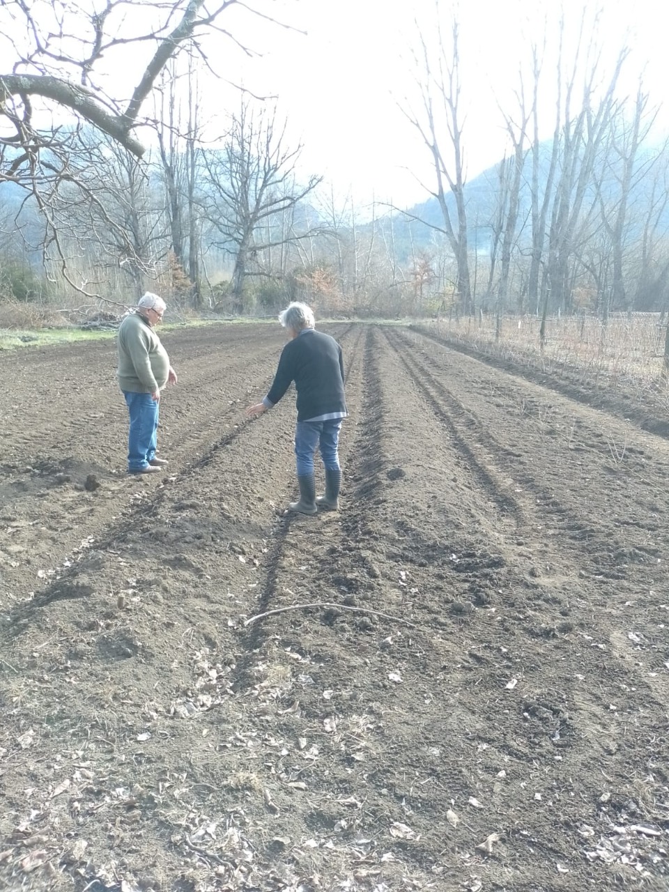 WhatsApp Image 2022-09-09 at 11.05.13