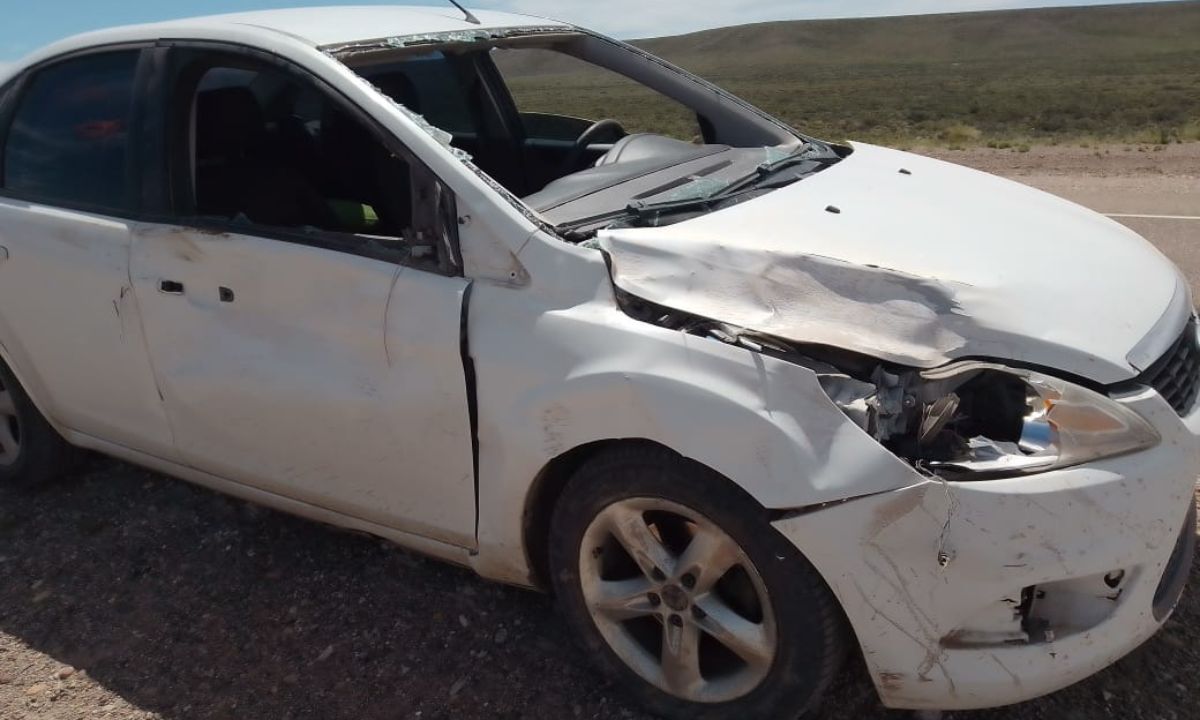 Daños en un rodado tras chocar con un guanaco en ruta 25