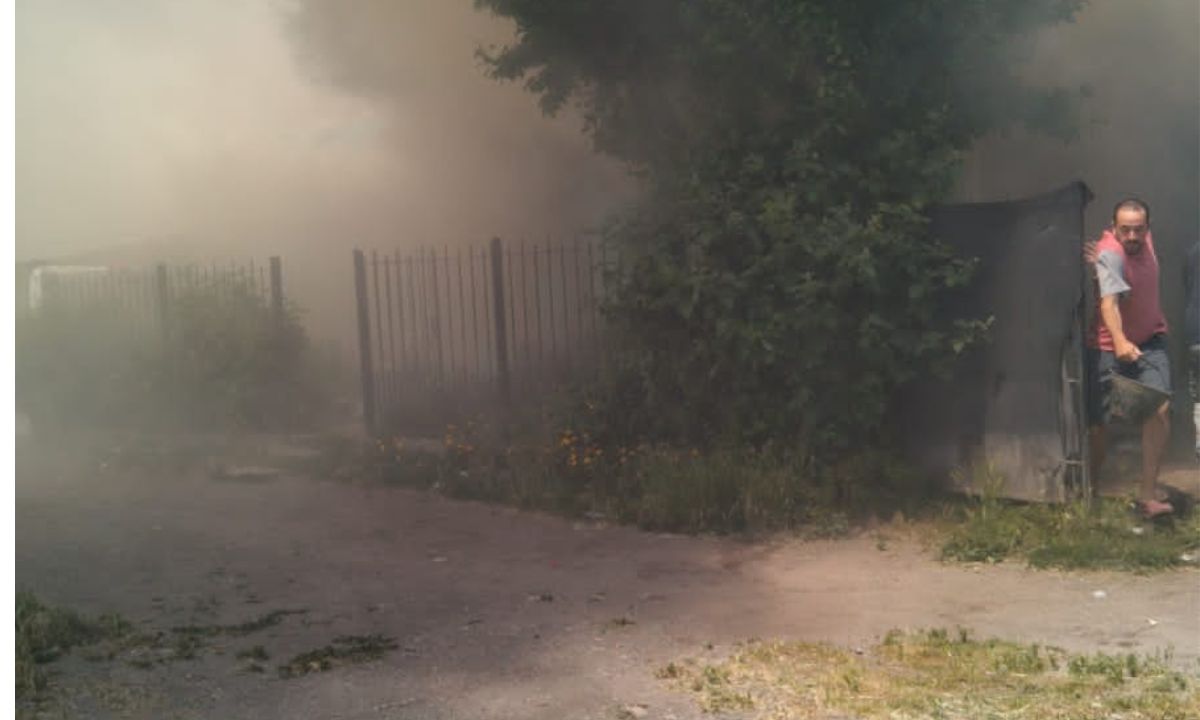 Foto Web 1200 (2)