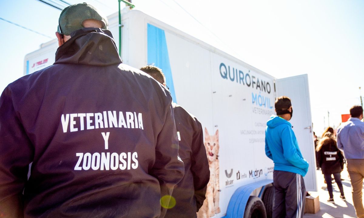 Puerto Madryn: Continúan las campañas gratuitas para perros y gatos