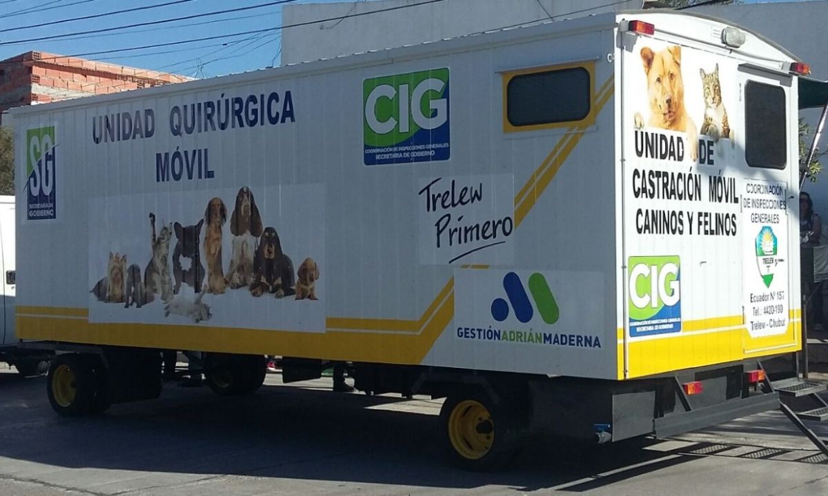 El municipio de Trelew inicia la campaña de desparasitación y castración en los barrios