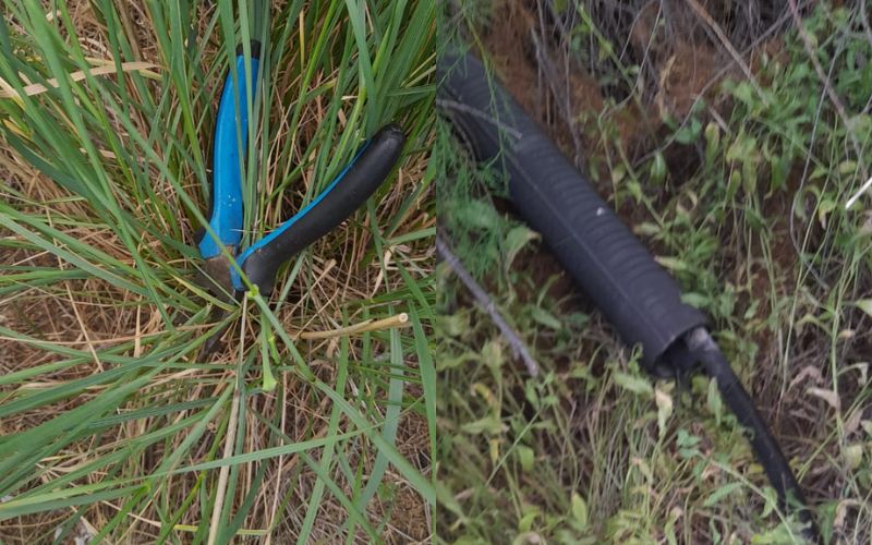 Los sorprendieron robando cables, los detuvieron; pero quedaron en libertad