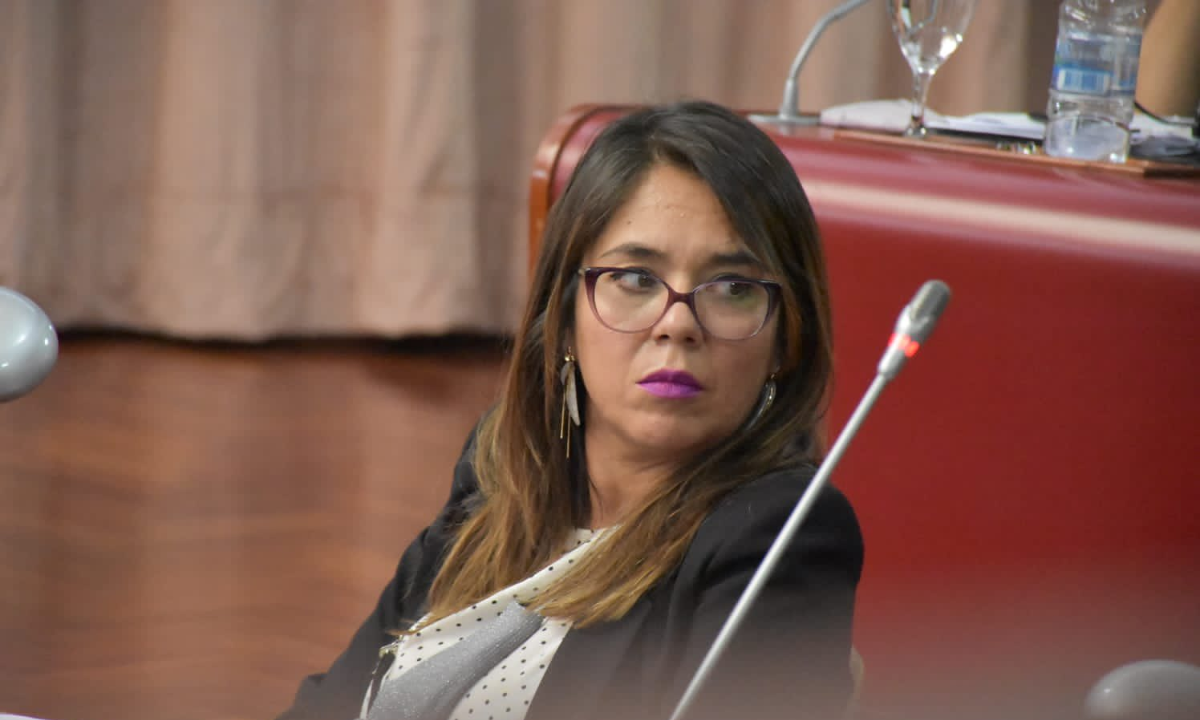 Goic le pidió a Torres que de nombres de los diputados que extorsionan para no sesionar