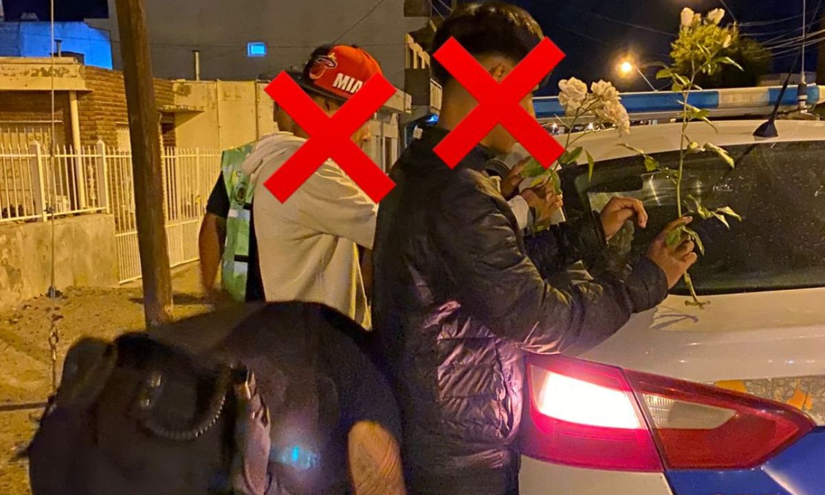Dos menores demorados por arrancar plantas de la plaza