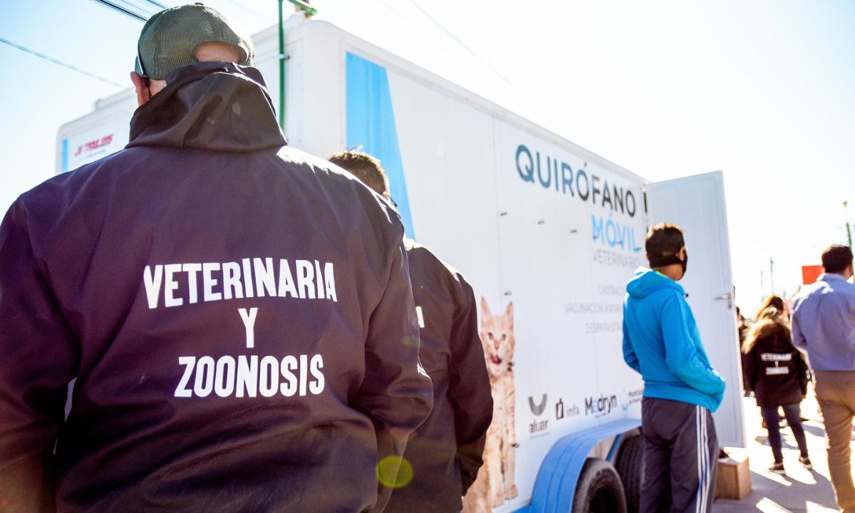 Campaña de Castración Gratuita para perros y gatos