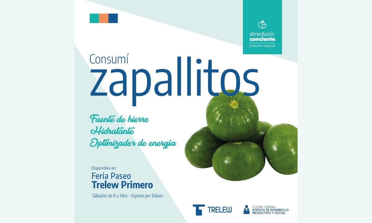 La Feria Trelew Primero ofrece los mejores zapallitos de tronco y zucchinis de estación