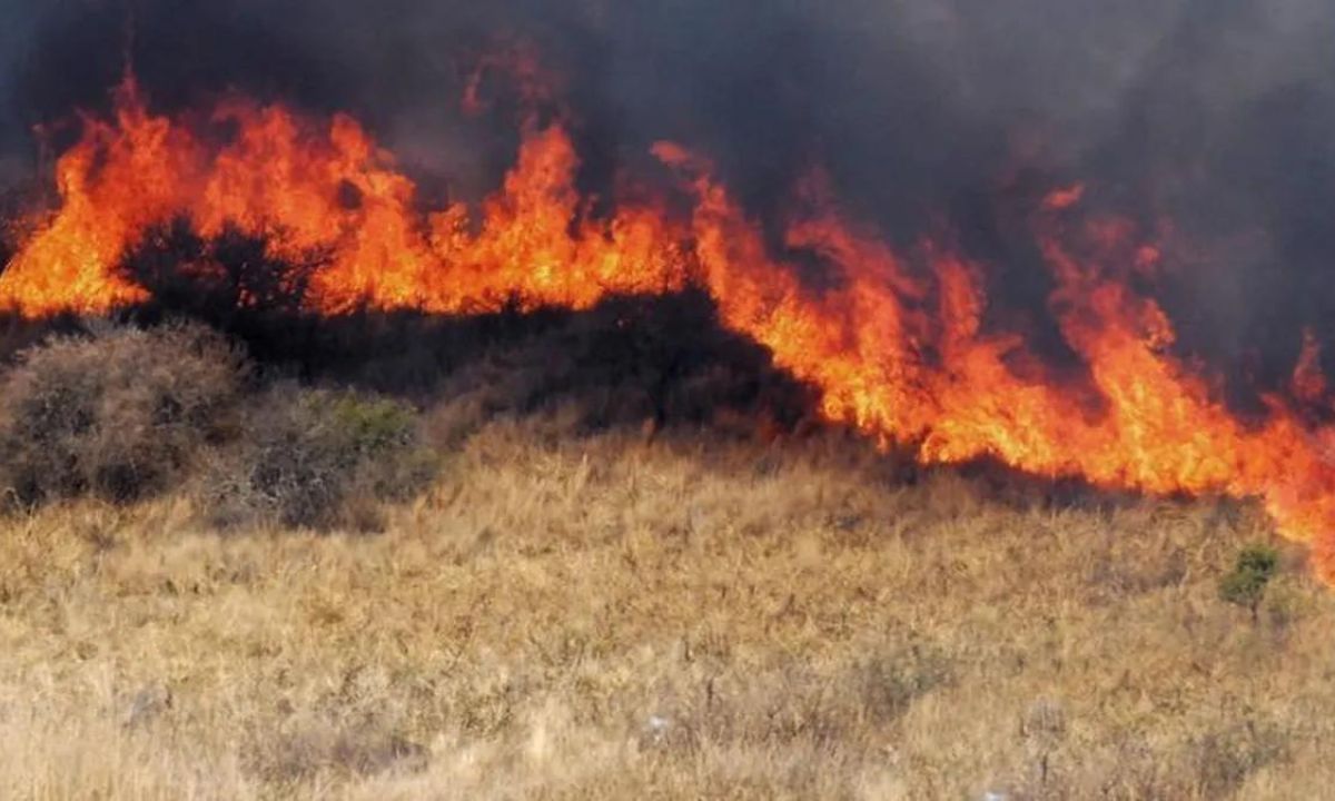 Se espera una temporada de verano compleja con índices de incendio de alto a extremo