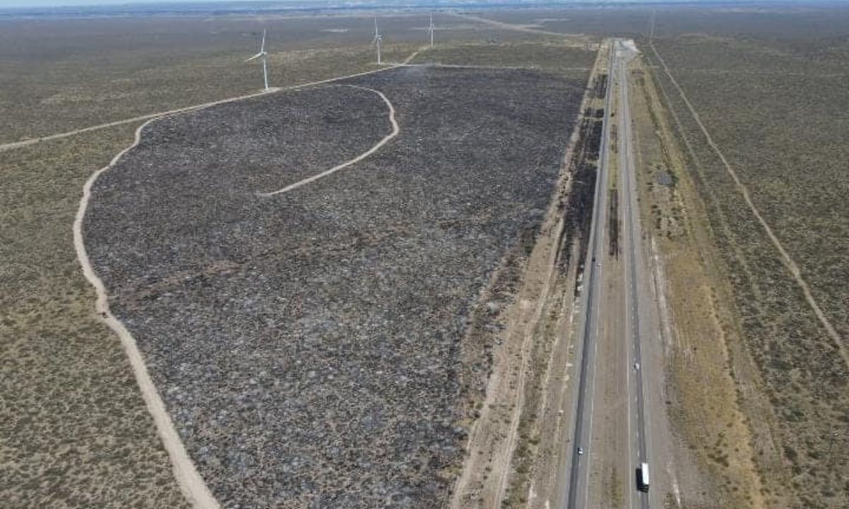 El incendio en ruta 3 afectó 110 hectáreas