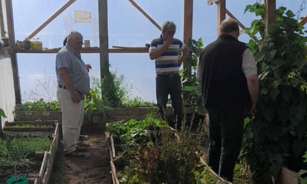 PROAF Chubut: Ricardo Rojas ya produce verduras en la huerta de la comuna