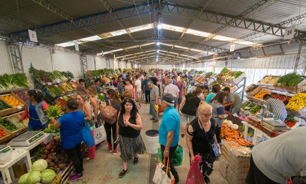 Primicias de hortalizas del Valle en la Feria Paseo Trelew Primero