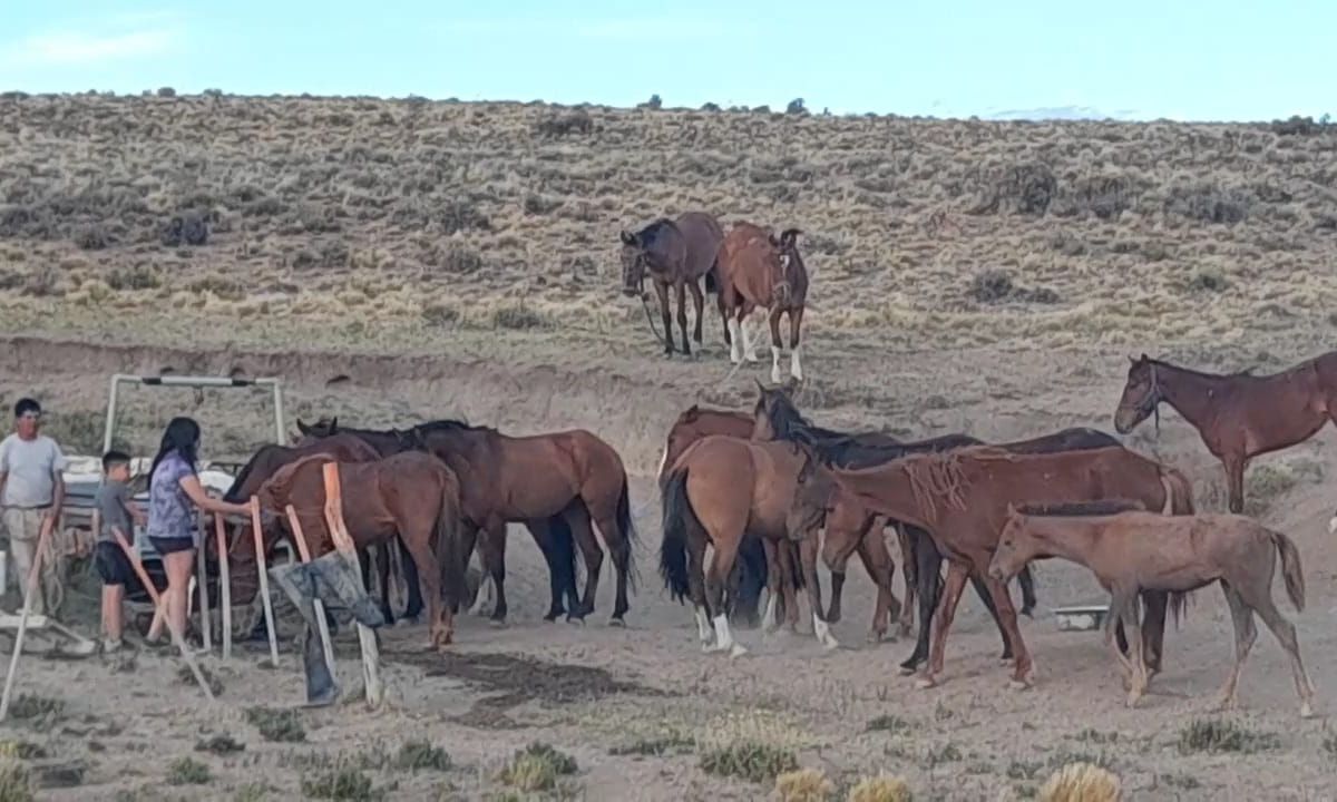 Preocupación por la sequía en la zona rural de Blancuntre