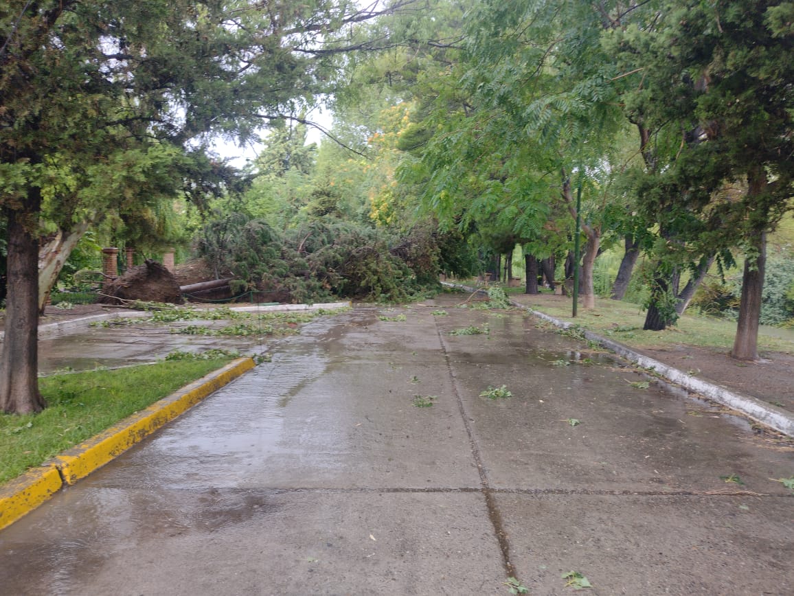 Tras el temporal Gaiman está sin luz en el Municipio y busca normalizar el agua en los barrios