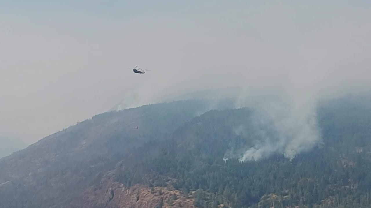 Se quemaron 200 hectáreas en El Hoyo, pero Provincia no declarará la Emergencia