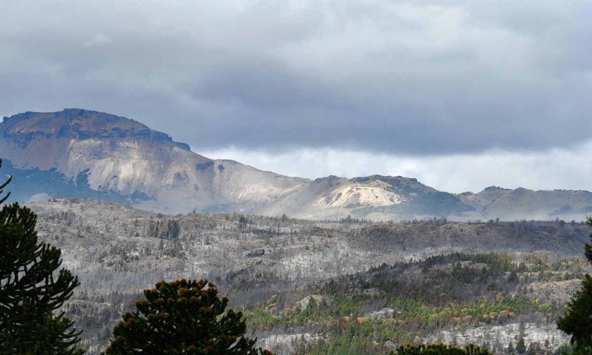 Las lluvias ayudan a la extinción de los incendios en la cordillera