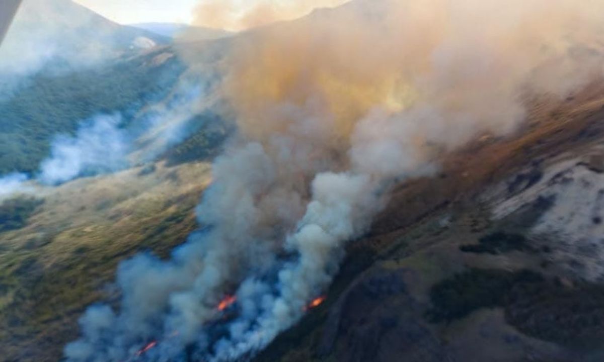 Incendio en la cordillera: Se esperan los resultados de las pericias para establecer si fue intencional