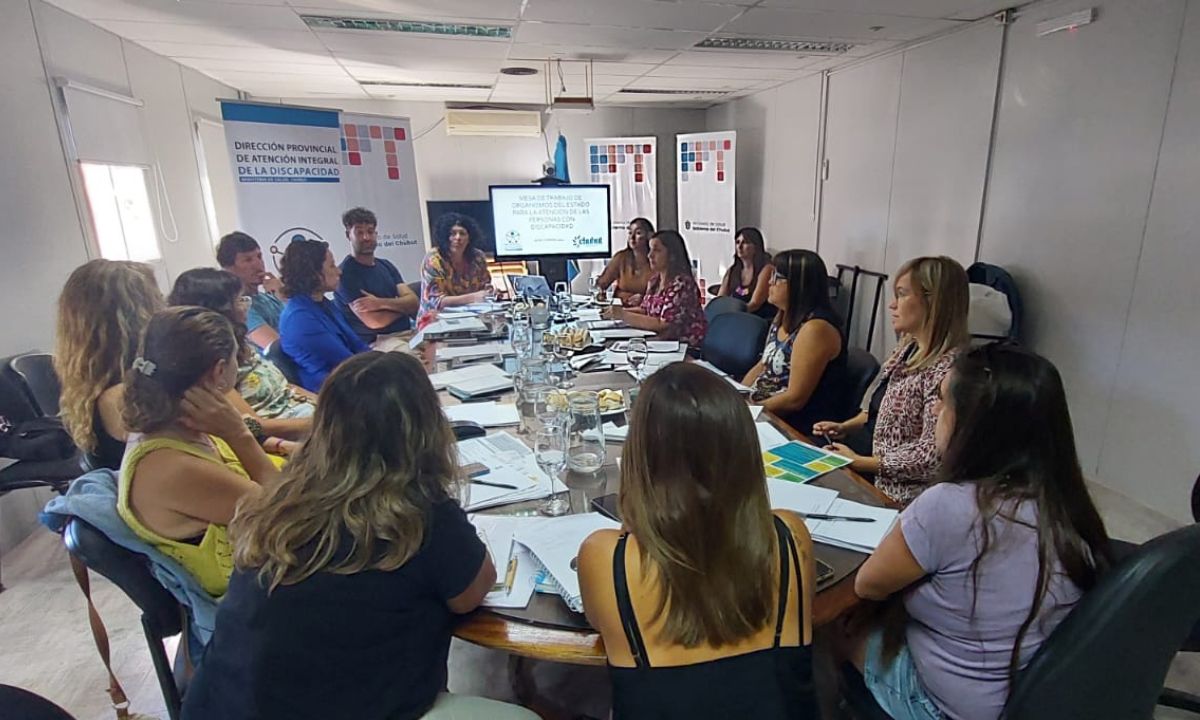 Chubut conformó “Mesa de Trabajo de Organismos del Estado para la Atención de las Personas con Discapacidad”