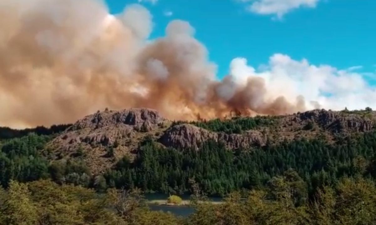 “Nos sentimos realmente abandonados”