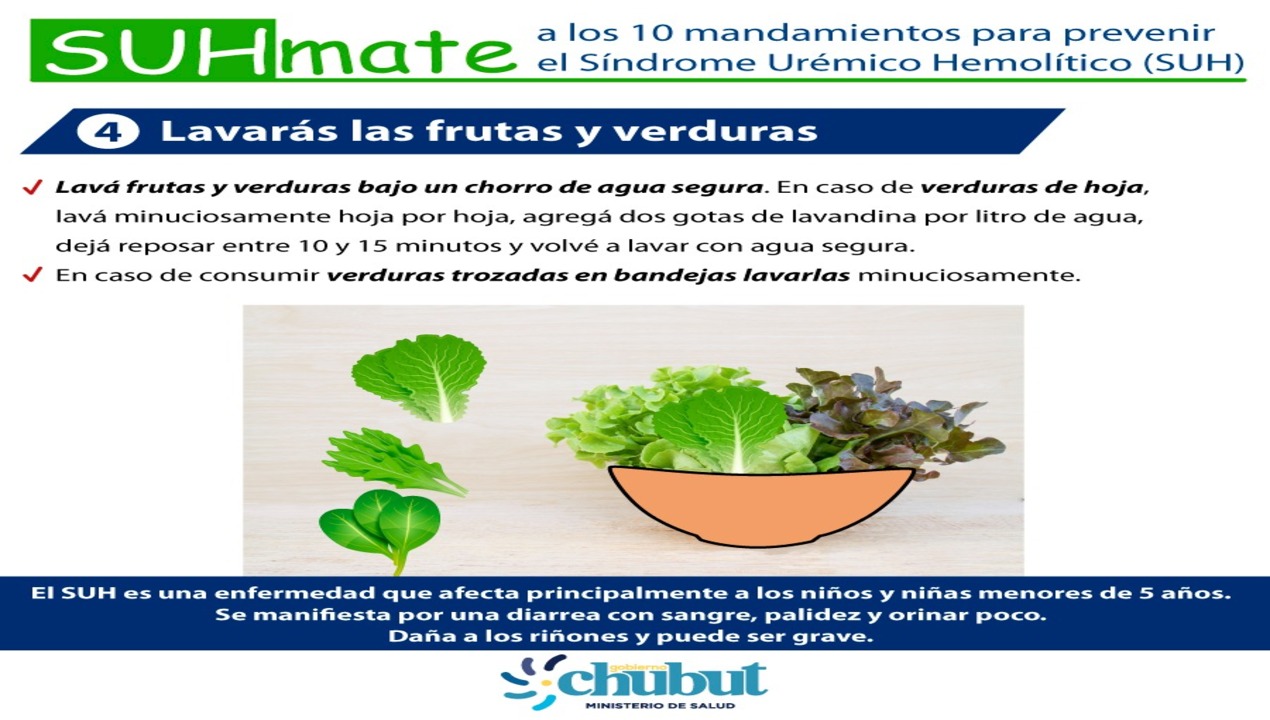 WhatsApp Image 2023-02-06 at 14.15.50 (1)