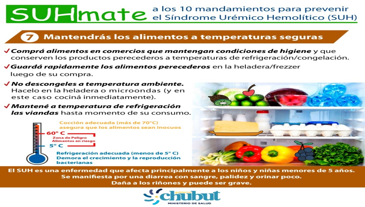 WhatsApp Image 2023-02-06 at 14.15.54 (1)