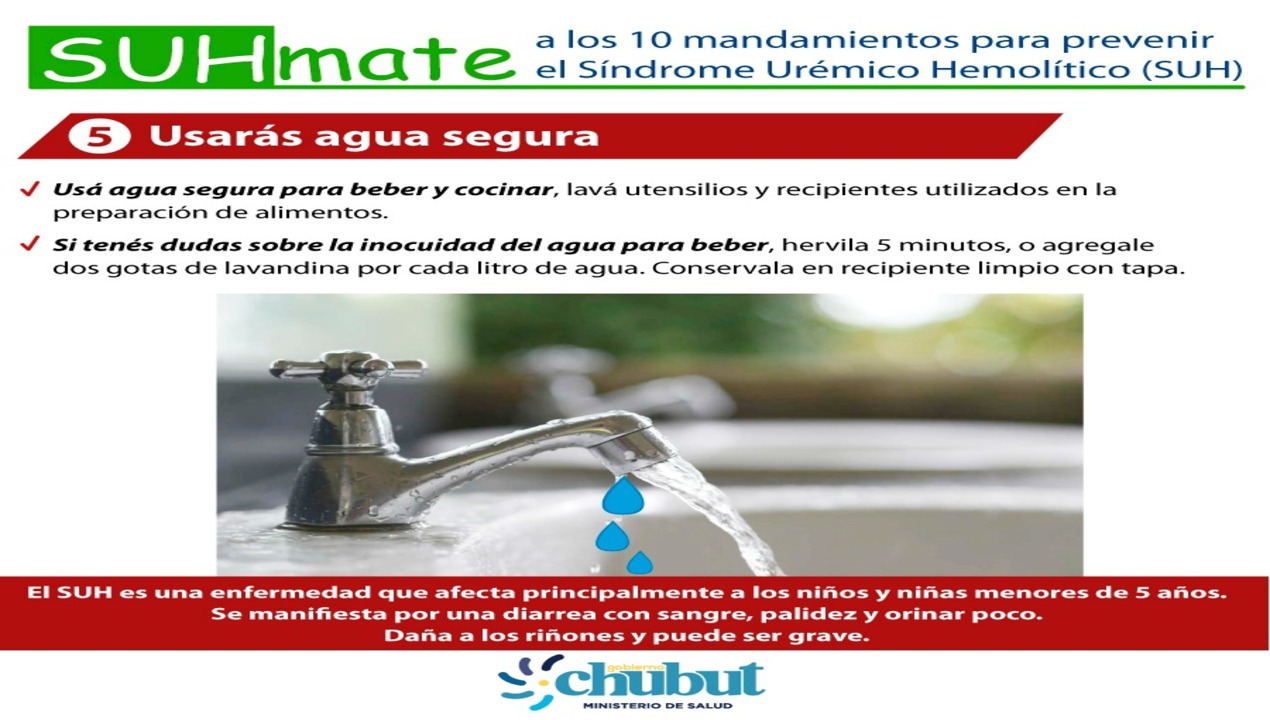 WhatsApp Image 2023-02-06 at 14.15.54 (2) (1)