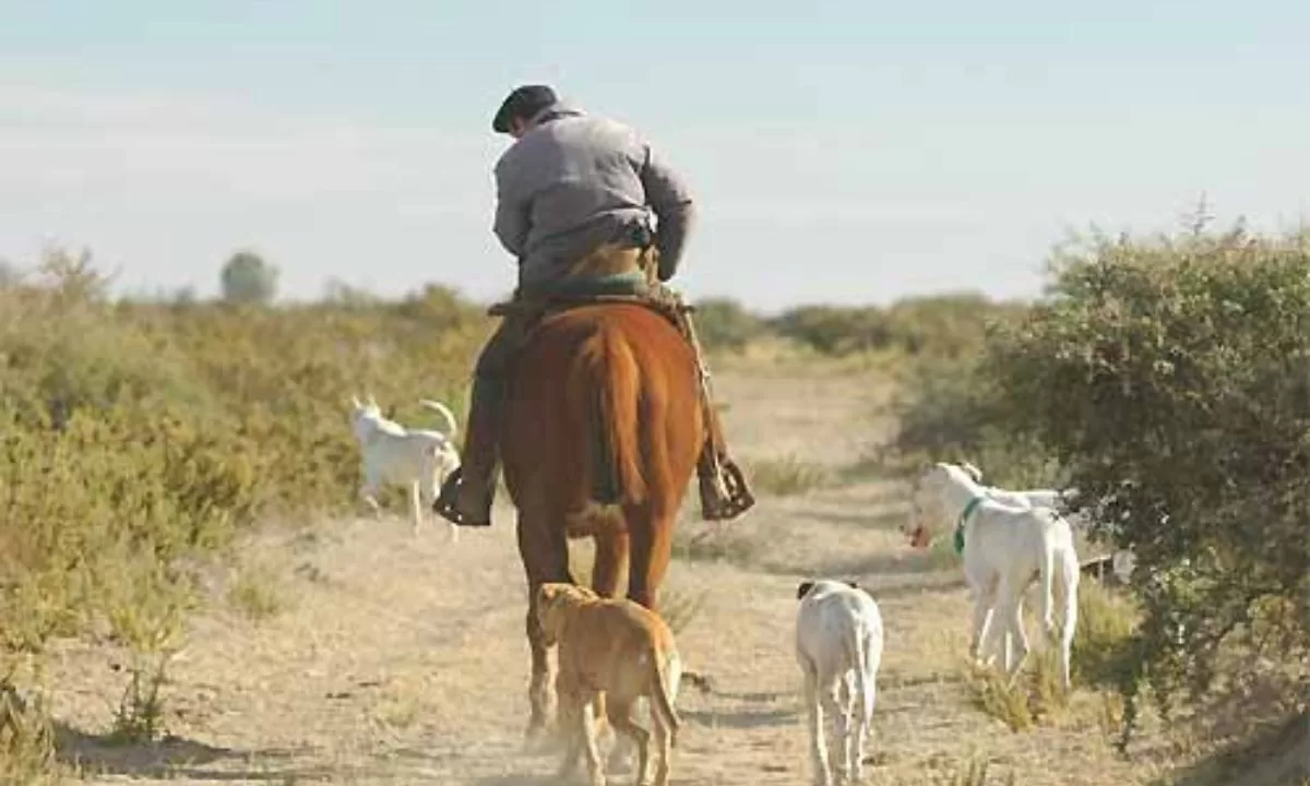 Peones de campo tendrán un aumento del 26% en tres tramos