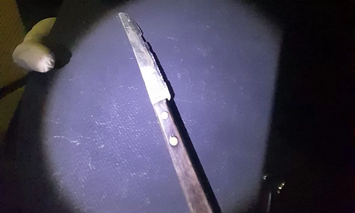 Un sujeto fue detenido por intentar robar en una casa y luego agredir a un policía