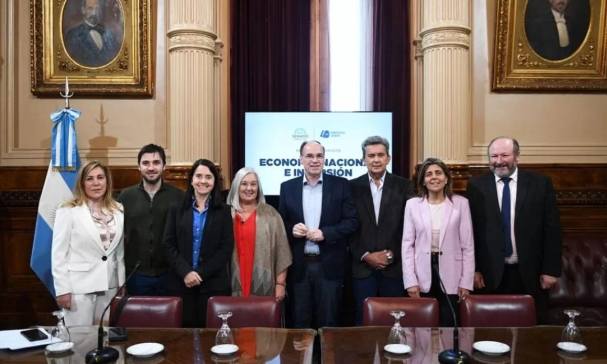 Torres pidió a las autoridades del SENASA concurrir al Senado por el brote de influenza aviar