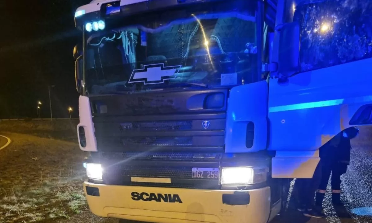 Interceptaron a un camionero que conducía alcoholizado en el ingreso a Trelew