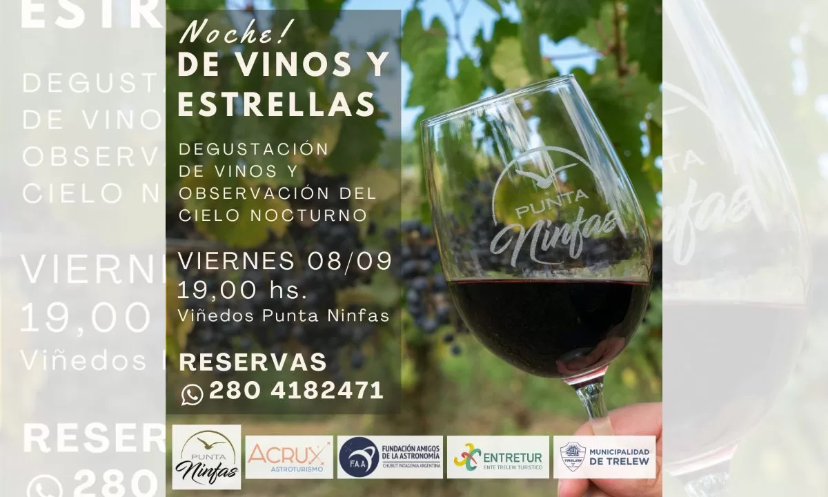 Trelew: Noche de vino y estrellas en Viñedos Punta Ninfas