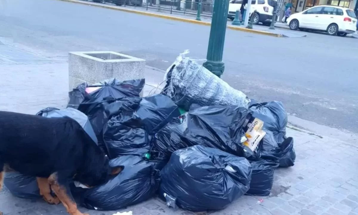 No se sabe qué día se recolectarán los residuos y la basura se acumula