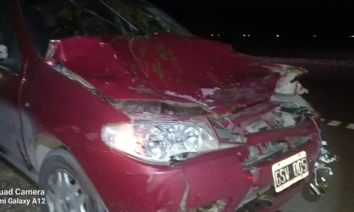 Conductora resultó ilesa tras impactar contra un caballo