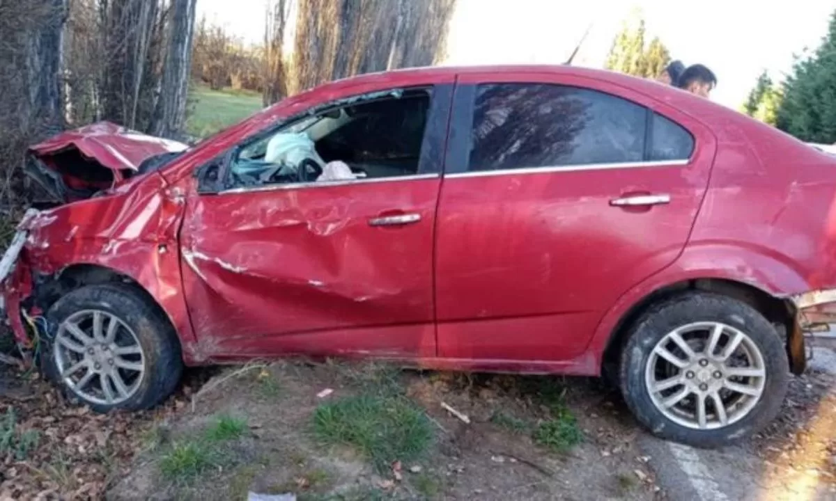 Conductor alcoholizado chocó por esquivar un conejo que se le cruzó en el camino